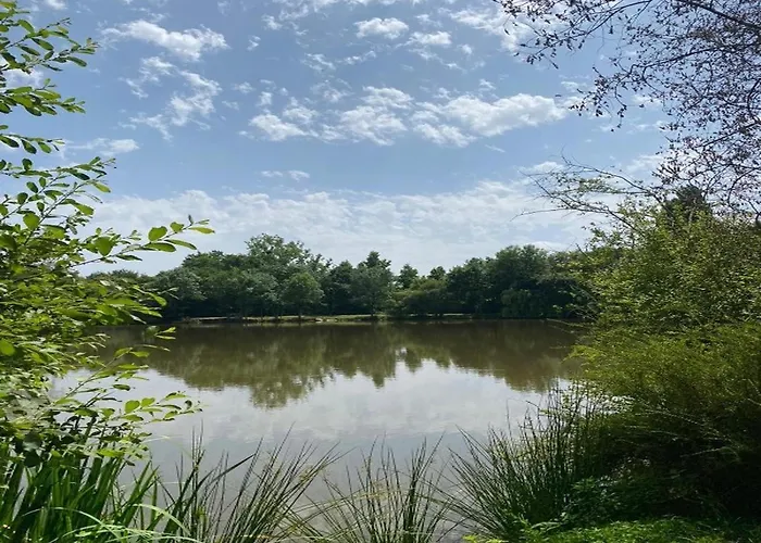 Casa vacanze Au Lit D'o *